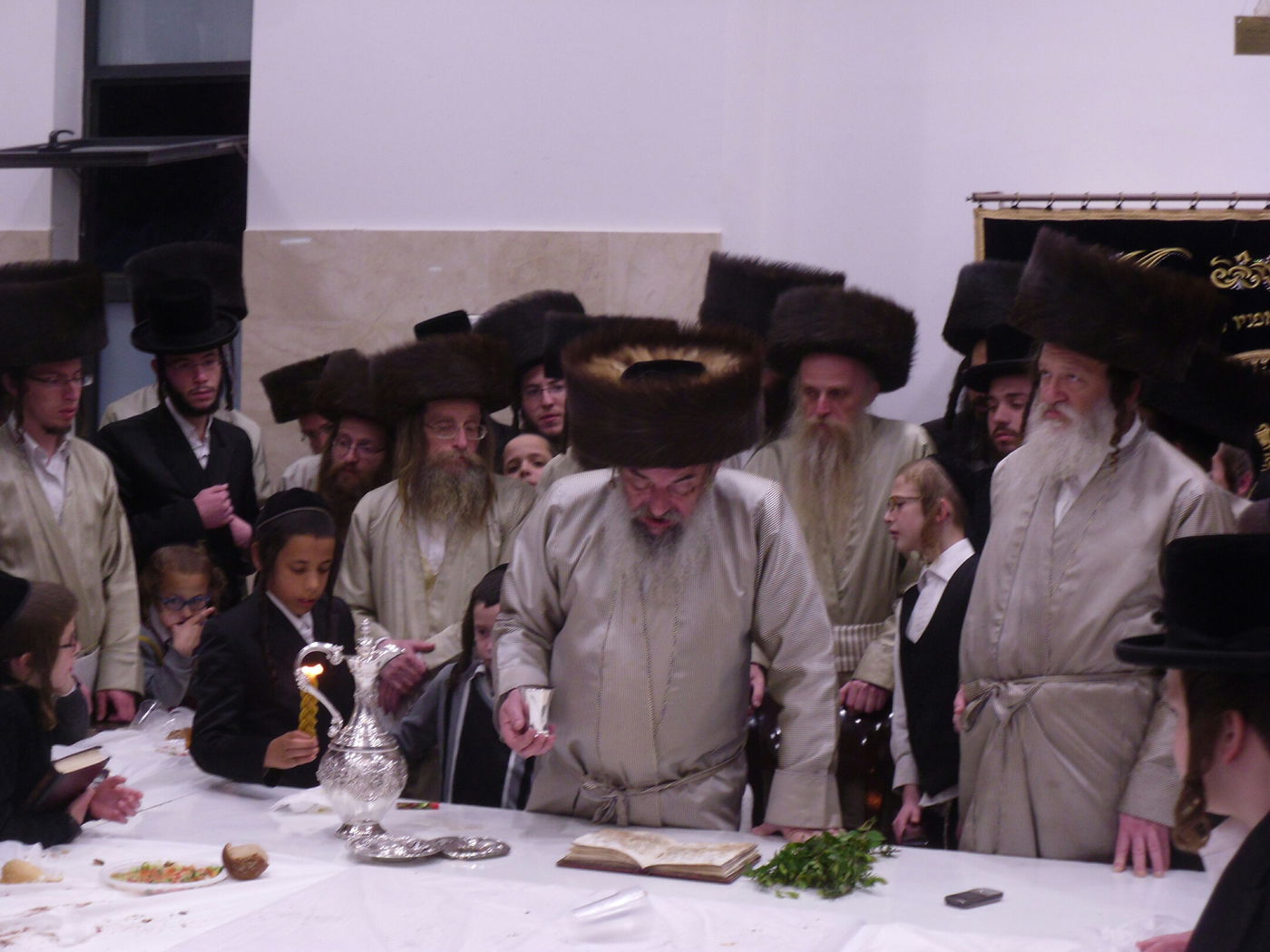 האדמו"ר מלעלוב שבת בביתר עילית • גלריה