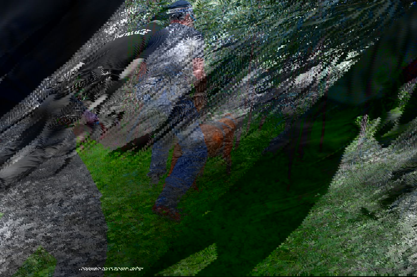 החיפושים אחר המחבל