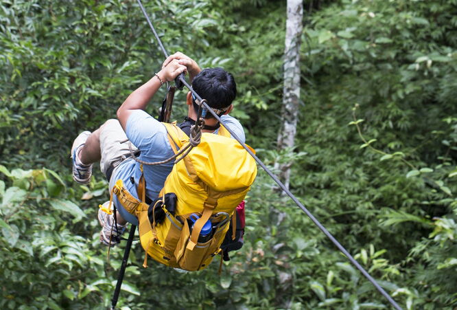 אילוסטרציה