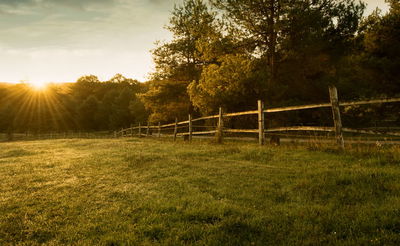 סכסוך שכנים: חסם את המעבר בשטח אחרי עשרות שנים, תקין?