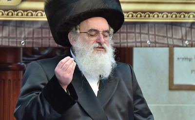 כ"ק האדמו"ר מויז'ניץ