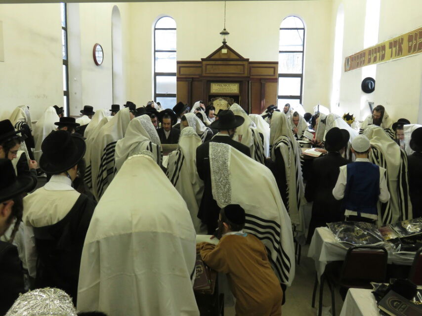 גלריה ססגונית: חגיגות פורים בניו יורק