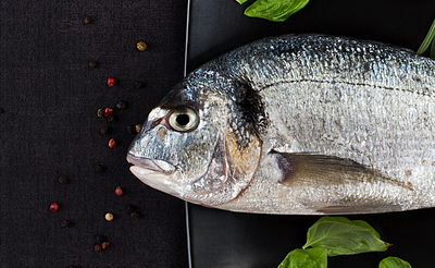 מאות אלפי צפיות: דג חזר לחיים ושתה אלכוהול?