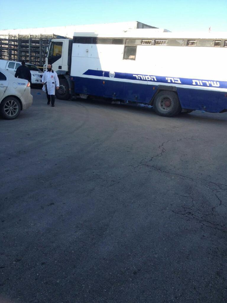 צפו: מעצר 41 שב"חים במפעל בשגב שלום