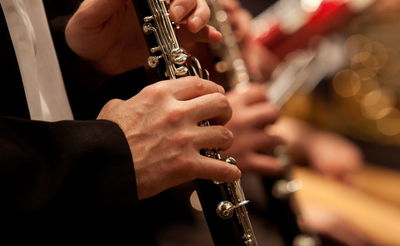 כשהרבי מפרמישלאן ביקש: "נגן לי ניגוני מירון בקלרינט"