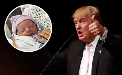 טראמפ והנכד