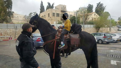 הילד והסוס, אתמול