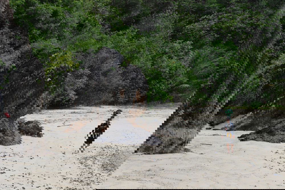 נחשף: כך מצלמת גוגל את הנופים המדהימים ברחבי העולם