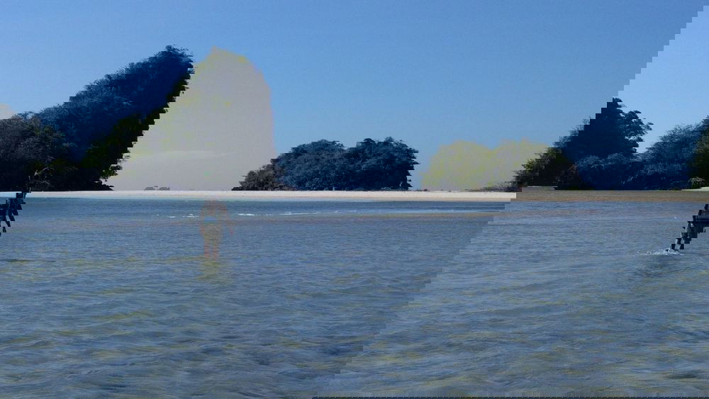 נחשף: כך מצלמת גוגל את הנופים המדהימים ברחבי העולם