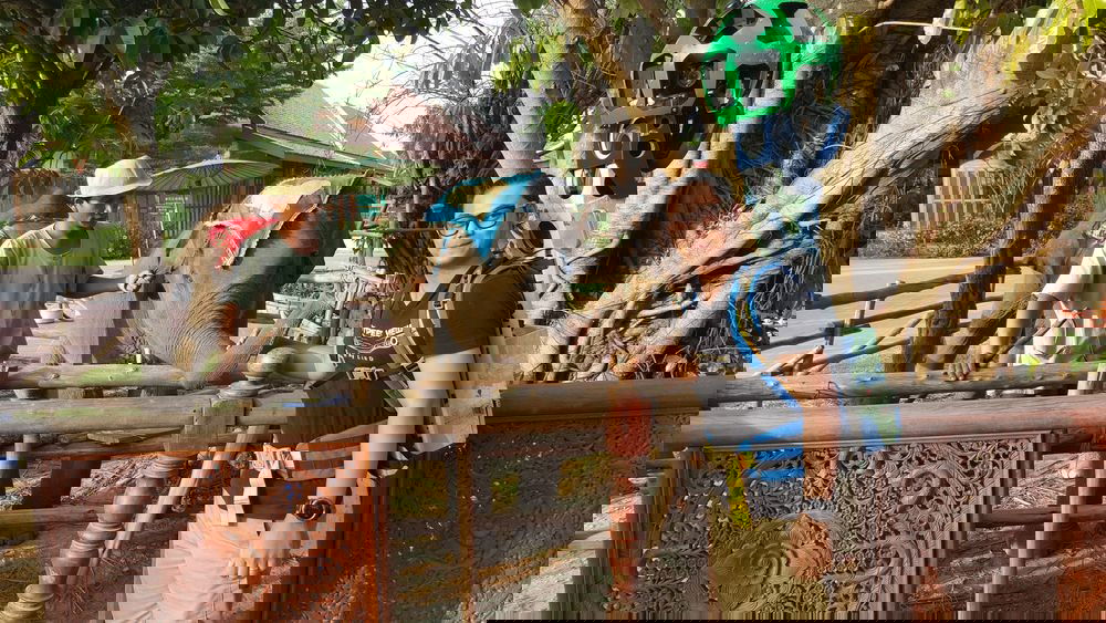 נחשף: כך מצלמת גוגל את הנופים המדהימים ברחבי העולם