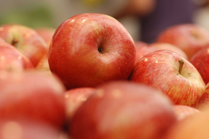 אילוסטרציה