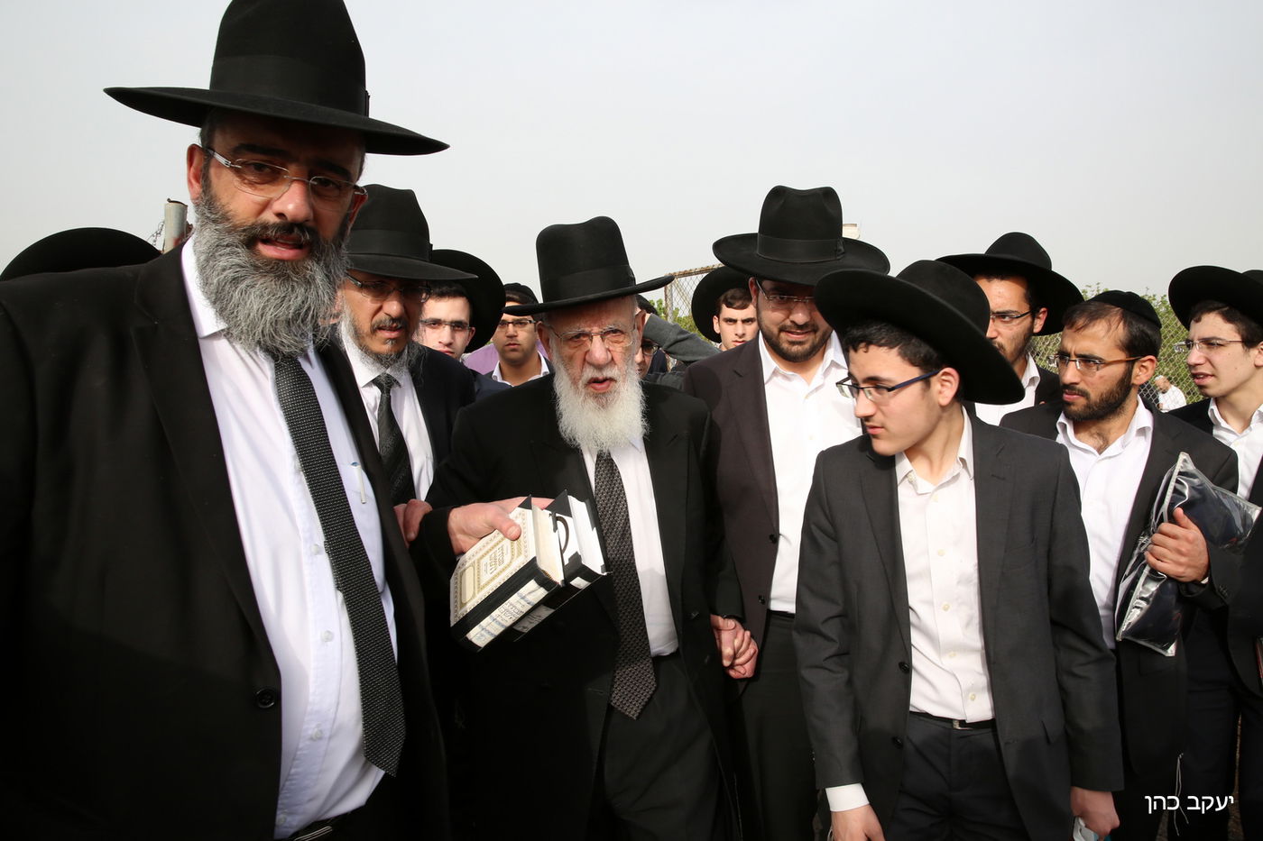 גלריה: "ברכת האילנות" של נשיא המועצת