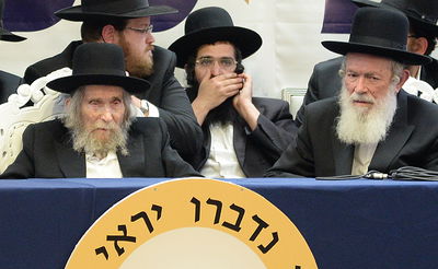 השו"ת עם מרן הרב שטיינמן