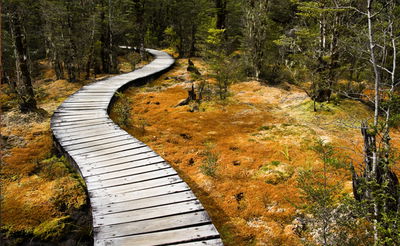 אילוסטרציה