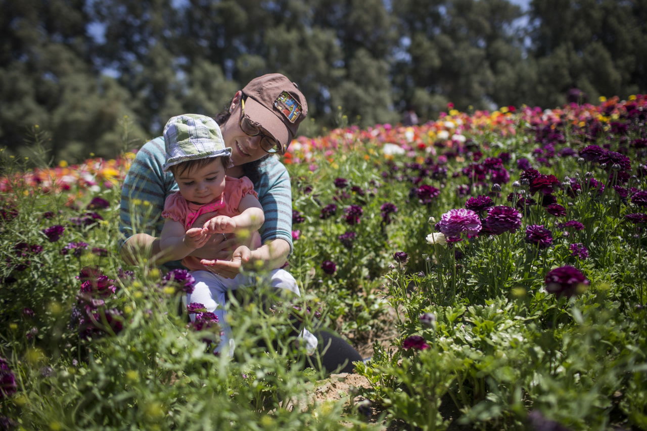מרהיב: הפריחה בקיבוץ ניר יצחק • גלריה אביבית