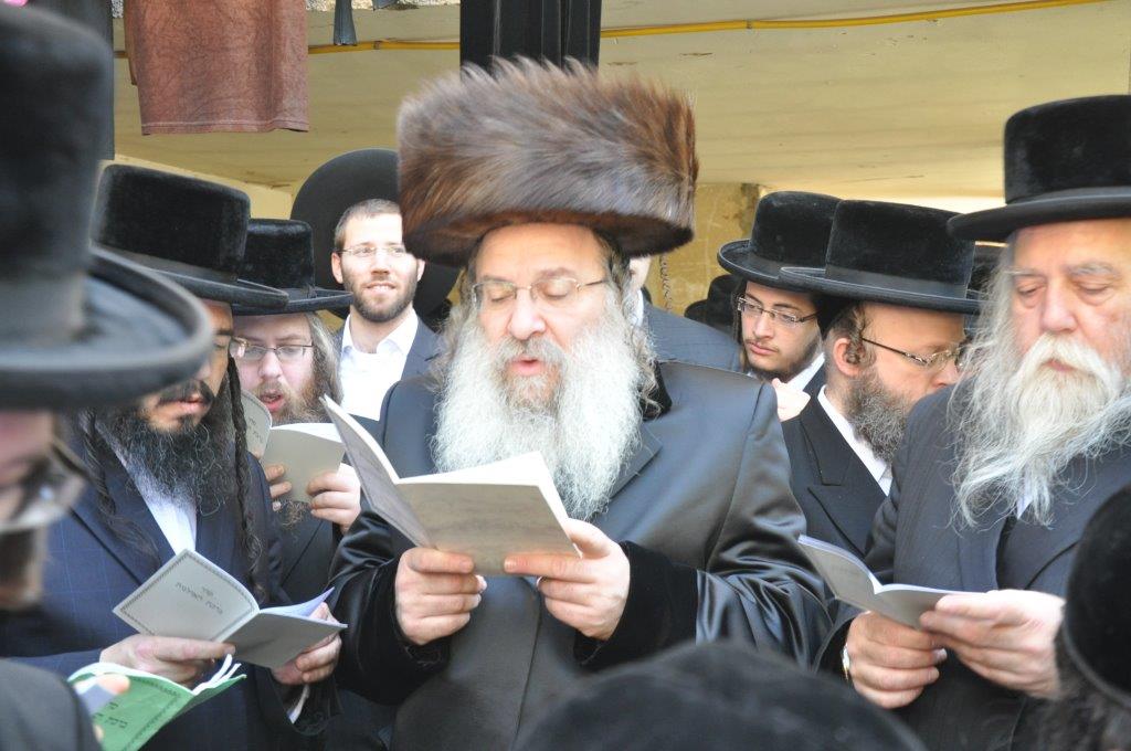 צפו: ברכת האילנות בנדבורנה