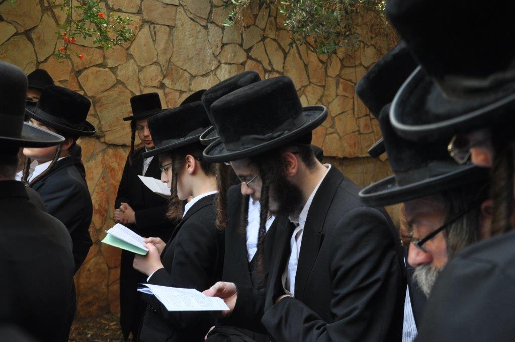 צפו: ברכת האילנות בנדבורנה