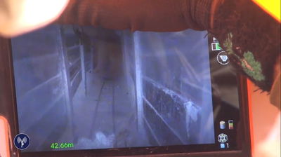 חשיפת מנהרת הטרור בישראל • התגובות