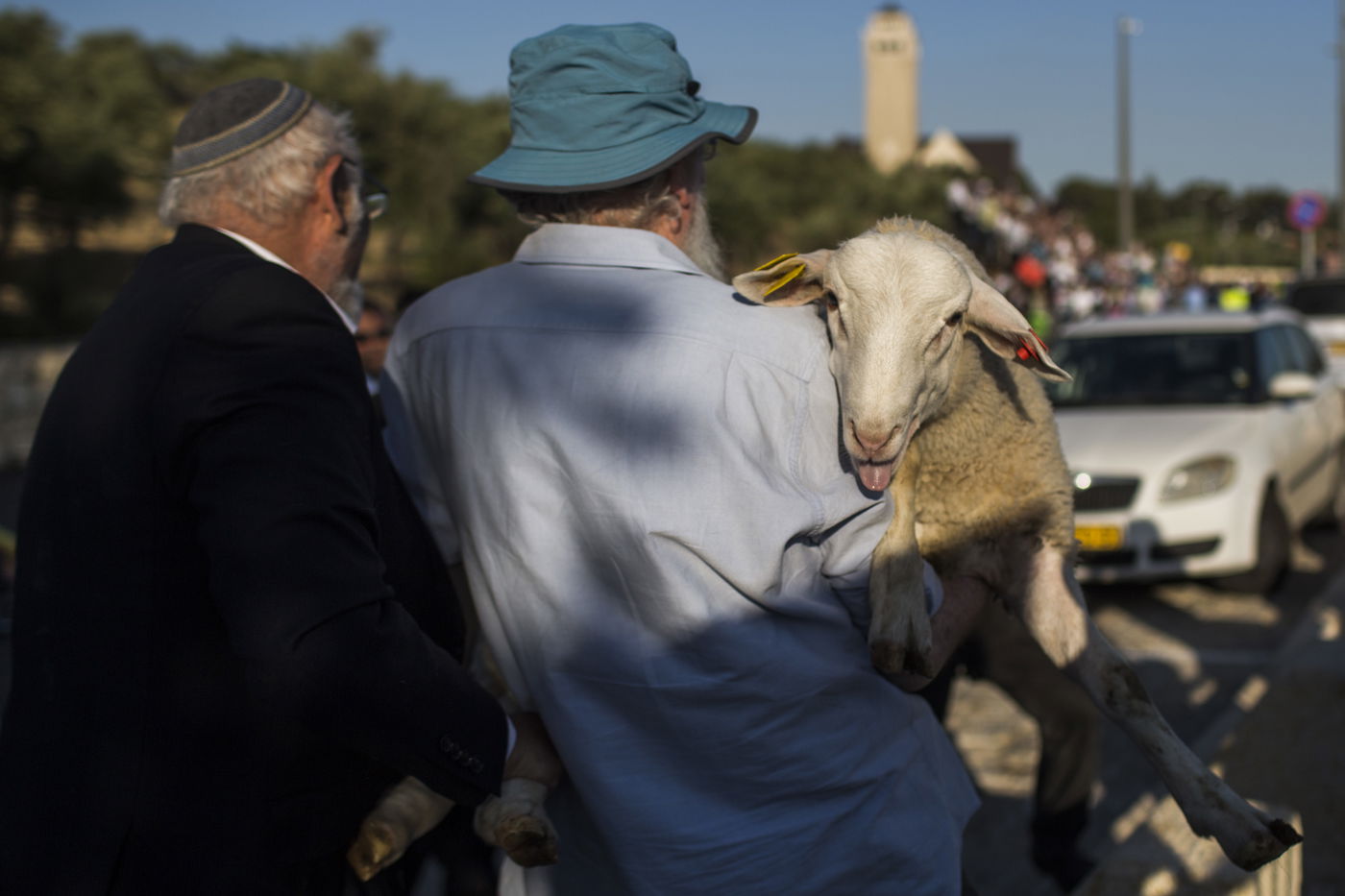 המחשה ותרגול של קרבן פסח • תיעוד
