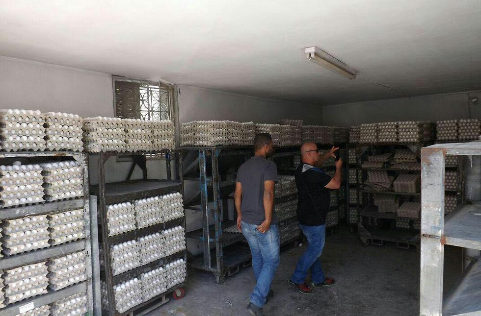 רגע לפני ששווקו בירושלים: נתפסו עשרות אלפי ביצים מסוכנות