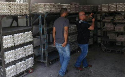 רגע לפני ששווקו בירושלים: נתפסו עשרות אלפי ביצים מסוכנות