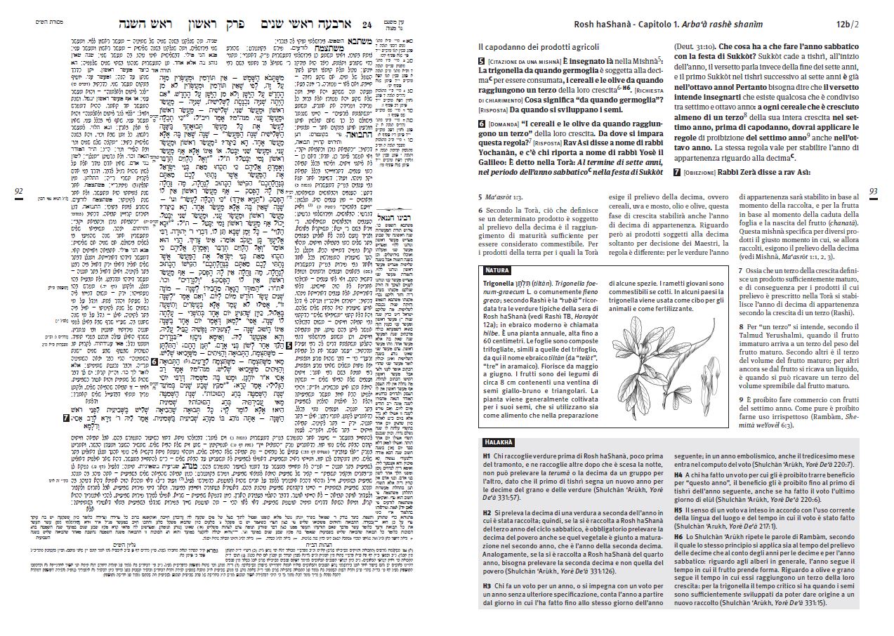 נשיא איטליה קיבל מסכת ראש השנה מתורגמת • צפו