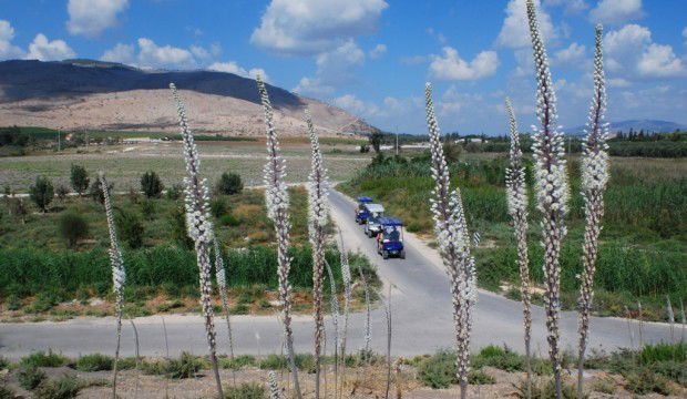 מה עושים עם הילדים בפסח בצפון – חלק א'