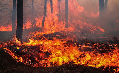 שריפת ענק סמוך לציון רבי יונתן בן עוזיאל בעמוקה