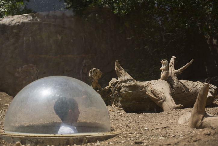 עם ישראל יוצא לטייל • תיעוד ענק