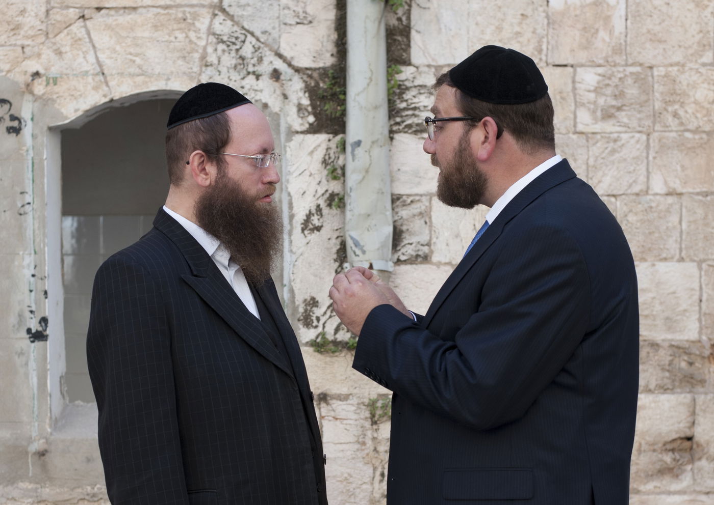 יועצים לאור