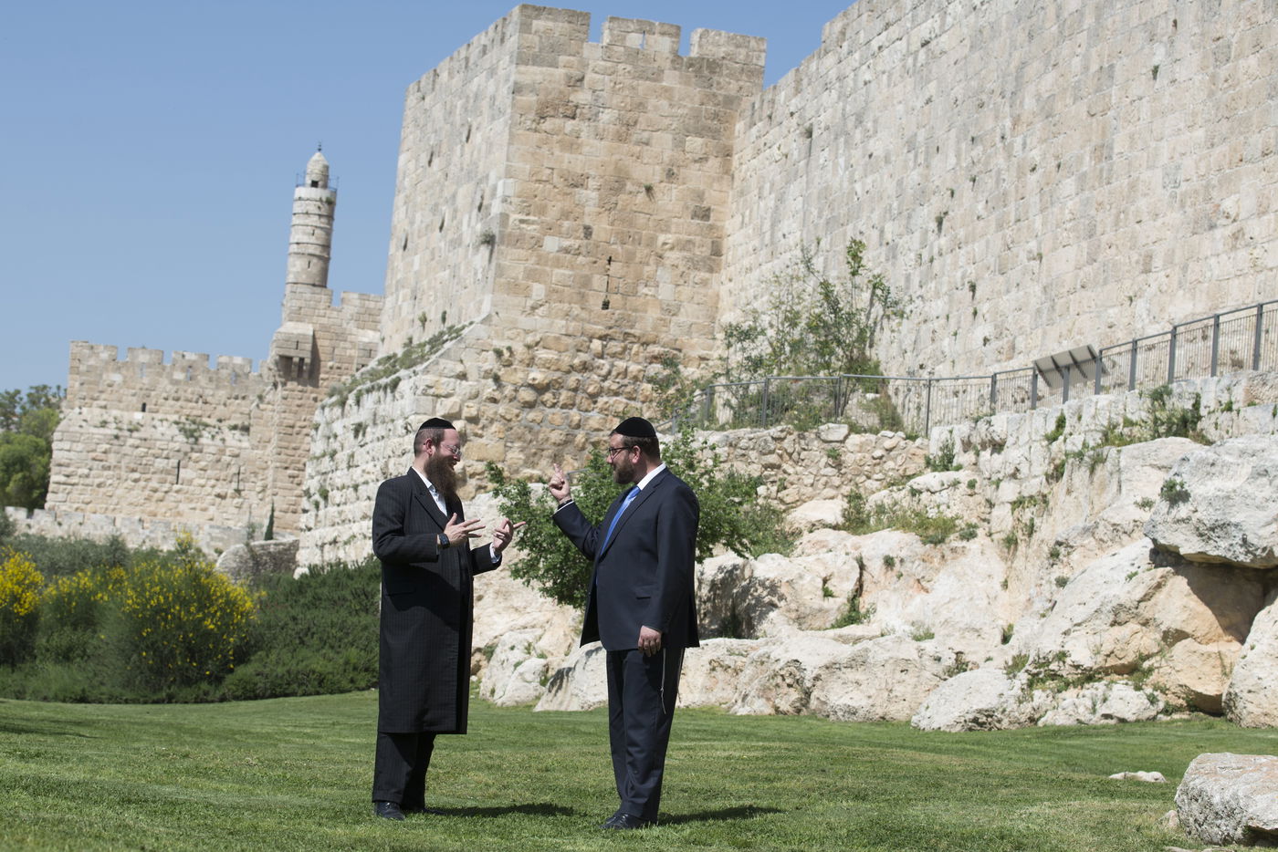 יועצים לאור