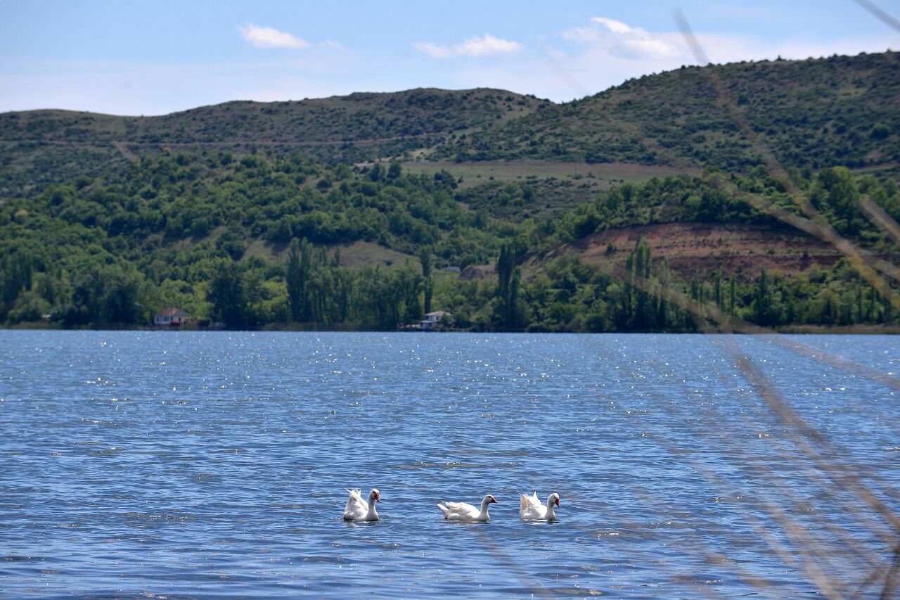 לראשונה: ליל סדר במדינת קוסובו שבמזרח אירופה