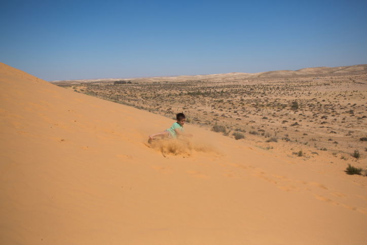 האביב בא: גלריה צחיחה מהנגב המערבי