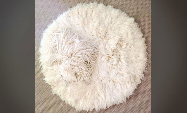 אל תדרכו על השטיח הזה, המלצה שלנו