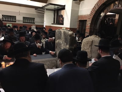 הונגריה: המונים עלו לציון בעל הסגולה נגד העכברים • תיעוד