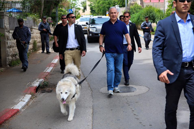 ראש הממשלה יצא לטיול עם הכלבה קאיה
