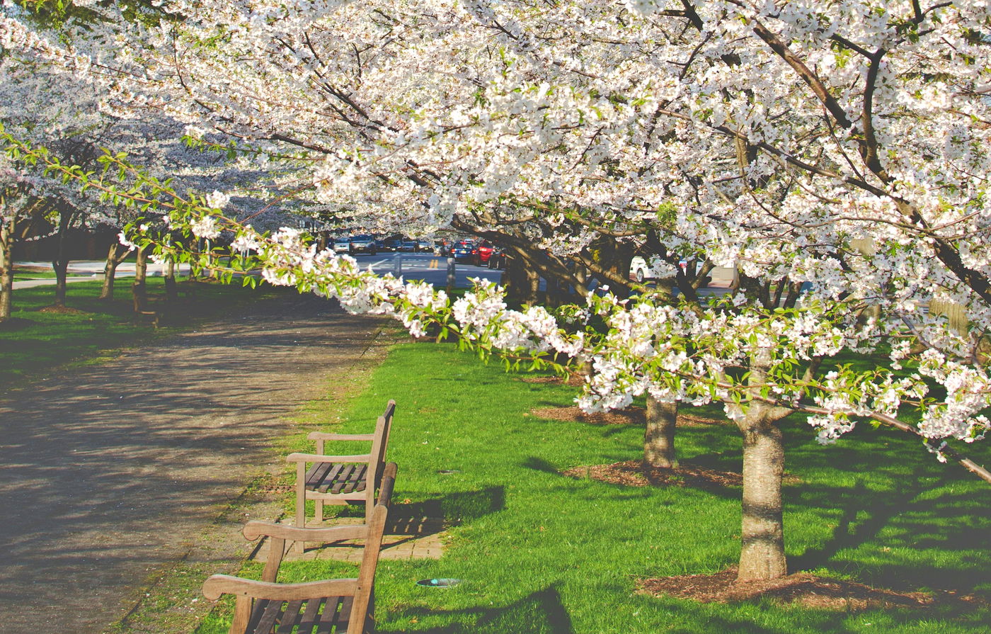 יפה שם בחוץ, אבל אפשר להישאר בבית