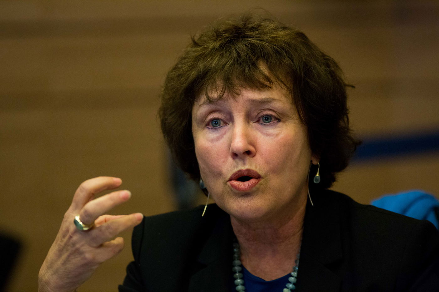 נגידת בנק ישראל קרנית פלוג