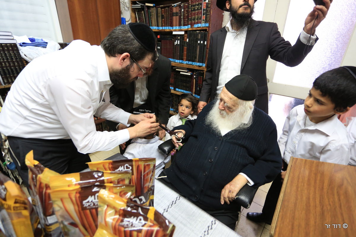 גלריה: הילדים שזכו לחלאקה אצל שר התורה