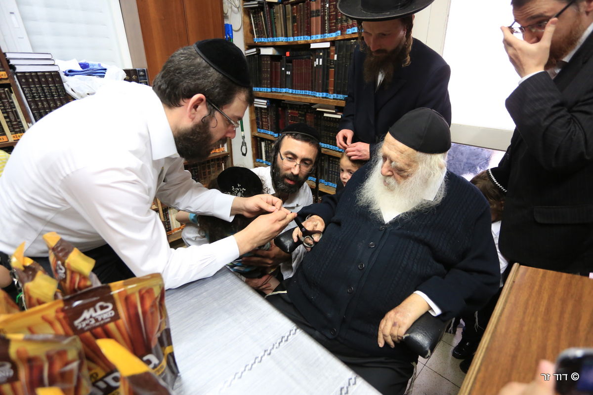 גלריה: הילדים שזכו לחלאקה אצל שר התורה