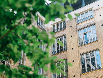 אילוסטרציה