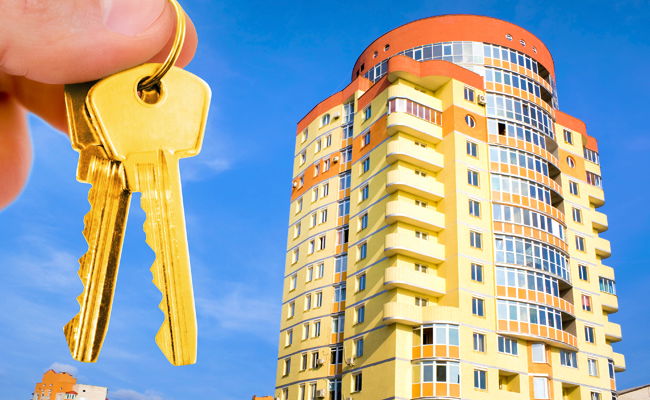 "בכיתי בקבר הבית יוסף והצלחתי לקנות דירה"