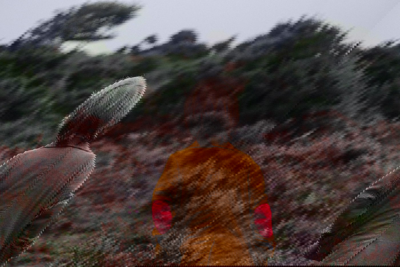 אימוץ ילד. אילוסטרציה