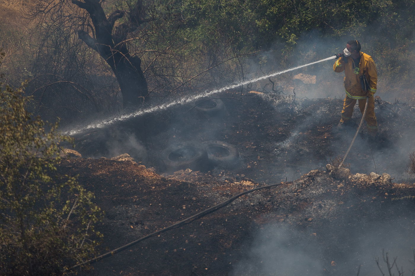 שריפת הענק בירושלים בתמונות • צפו בגלריה