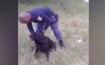 הכלב נתקל בנחש, השוטר הקשוח נס בפחד