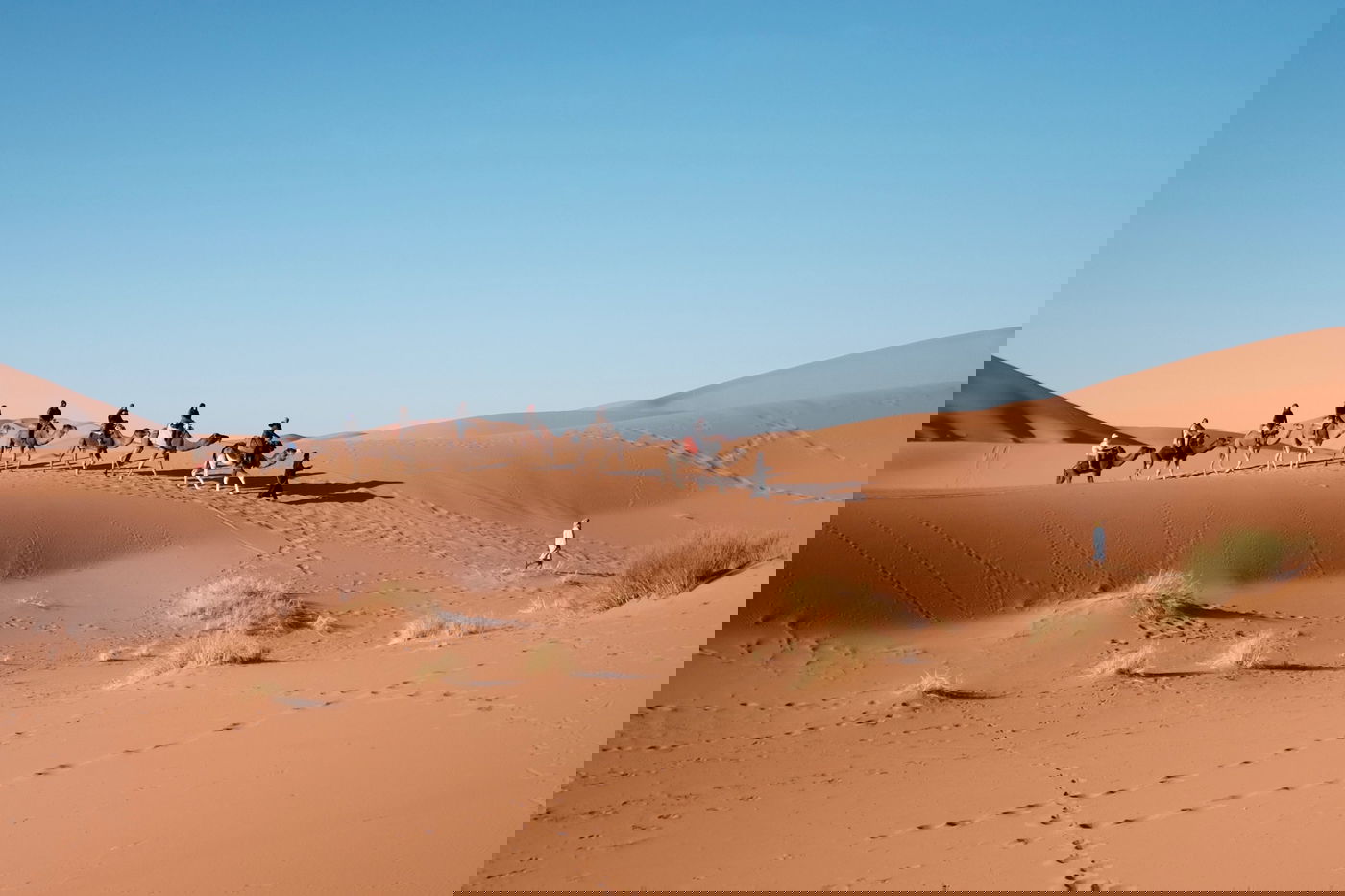 כיסוי הכביש בחול מוכיח שהיה שמנוני. אילוסטרציה