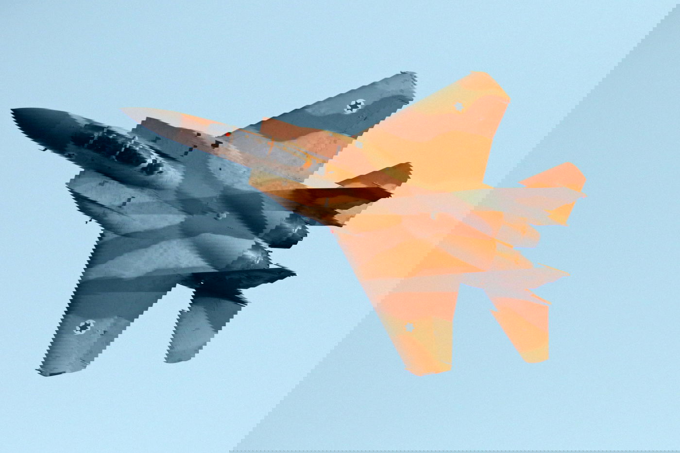 הטיסות של טייסי חיל האוויר • תיעוד מיוחד