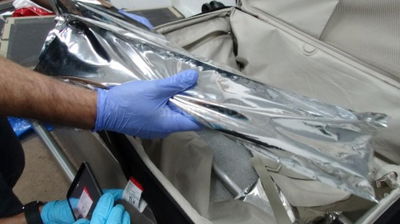 הסמים נחשפים בנתב"ג