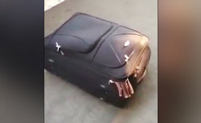 ניסה. לא הלך