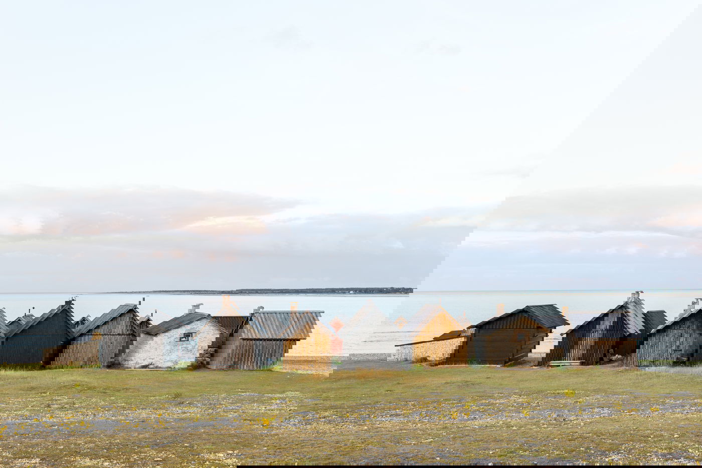 האחים התאומים בסכסוך על בית אמם. אילוסטרציה